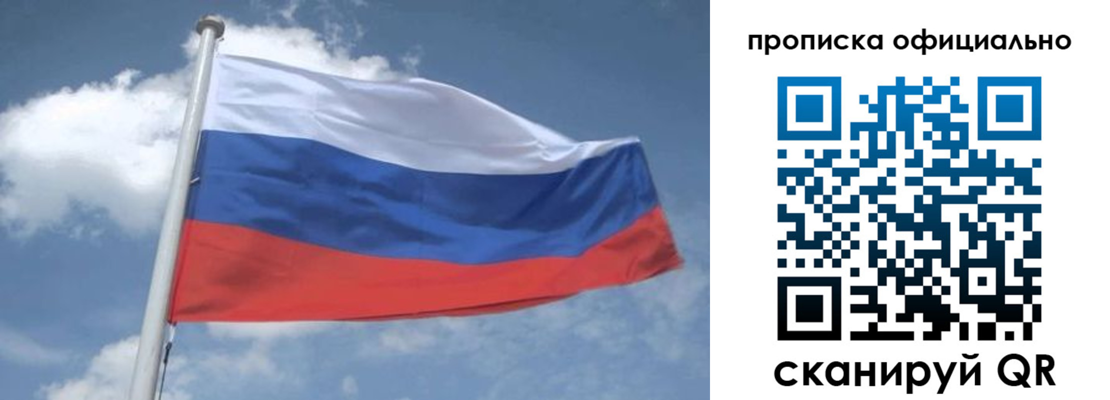 прописка для школы в Александровске